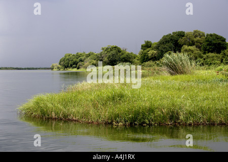 Storm Brewing dans la rivière Chobe, au Botswana Banque D'Images