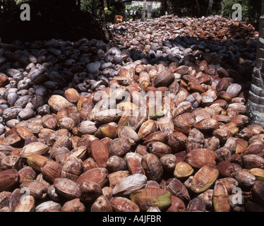 Monticule de noix de coco séchées, Anse Source d'argent Beach, la Digue, République des Seychelles Banque D'Images