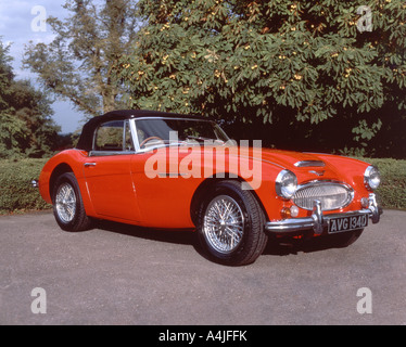 Vintage Austin Healey sports voiture garée dans l'allée, Virginia Water, Surrey, Angleterre, Royaume-Uni Banque D'Images