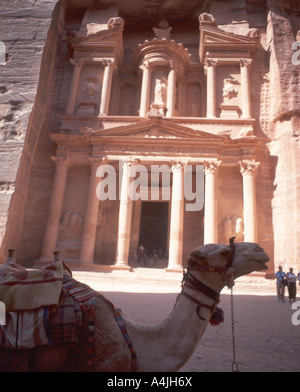 Le Conseil du Trésor (Al khazneh), ancienne ville de Petra, Maan, de Jordanie Banque D'Images