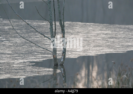 Premier de la glace sur un lac à la fin de l'automne Banque D'Images