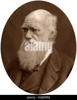 Charles Darwin, 1878.Artist : Lock & Whitfield Banque D'Images