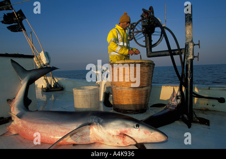 La pêche de requins en Méditerranée Turquie Banque D'Images