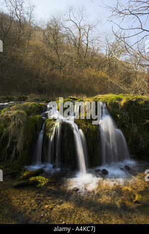 Une cascade sur la rivière Lathkill dans Lathkill Dale dans le Peak District, dans le Derbyshire Banque D'Images