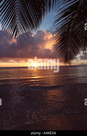 West Indies, Martinique, Anse des Salines Banque D'Images