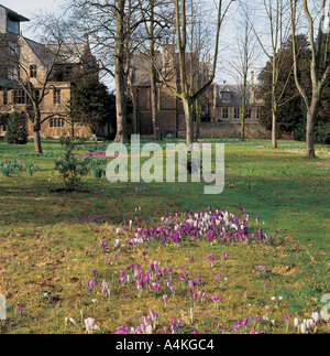 Trinity College jardins au printemps, Oxford Banque D'Images