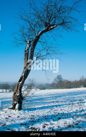 L'hiver dans South Park, Oxford Banque D'Images