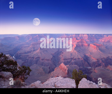 USA ARIZONA GRAND CANYON Banque D'Images