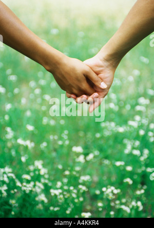 Les mains jointes devant l'herbe avec des fleurs sauvages Banque D'Images