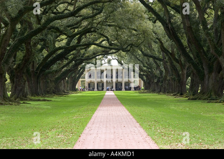 Oak Alley plantation près de La Nouvelle-Orléans en Louisiane Banque D'Images