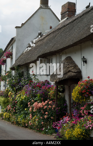 Doreen Hayes est un 'Coombe Cottage", Village de Branscombe, Devon Banque D'Images