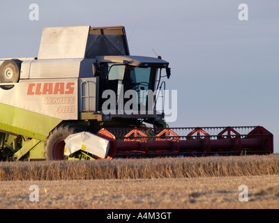 Récolte de coupe de moissonneuse-batteuse, happisburgh, Norfolk, East Anglia, Royaume-Uni, Banque D'Images