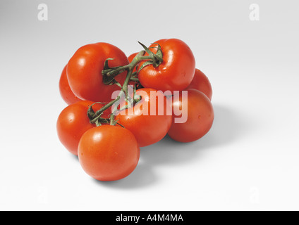 Tomates de vigne Banque D'Images