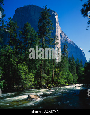 El Capitan et la rivière Merced Yosemite National Park Banque D'Images