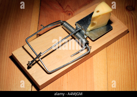 Mousetrap appâtés avec du fromage Banque D'Images