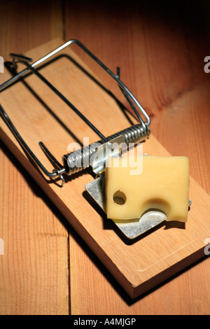 Mousetrap appâtés avec du fromage Banque D'Images