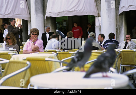 Italie Venise Woman looking at pigeons perchés sur une table de café sur la Piazza San Marco Banque D'Images