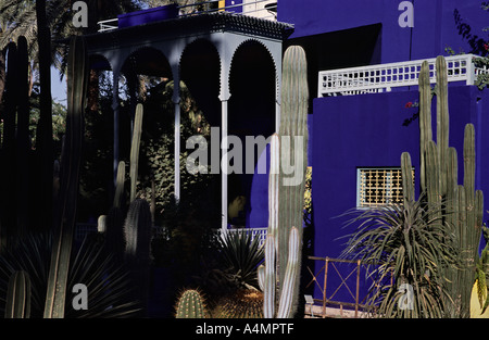 Maroc Marrakech plantes exotiques et blue villa au Jardin Majorelle La villa bleue abrite le Musée d'Art Islamique Banque D'Images