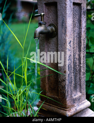 Robinet qui coule et l'ornement de l'HERBE ornementale Banque D'Images