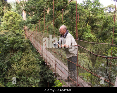 Malaisie Bornéo Sabah Danum Valley Tourist sur rainforest treetop walkway Banque D'Images