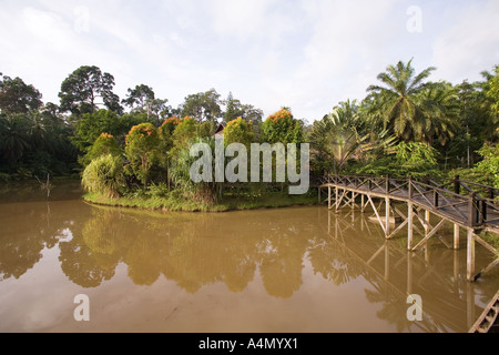 La Malaisie, Bornéo, Sabah, sandakan, Sepilok Nature Resort garden Banque D'Images