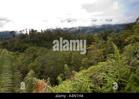 Malaisie Bornéo Sarawak Belaga et Rejang berge de collines environnantes Banque D'Images