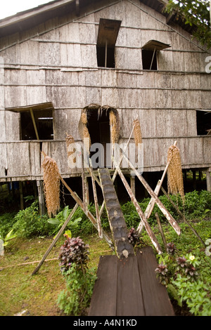 Malaisie Bornéo Sarawak Cultural Village Iban longhouse entrée privée Banque D'Images