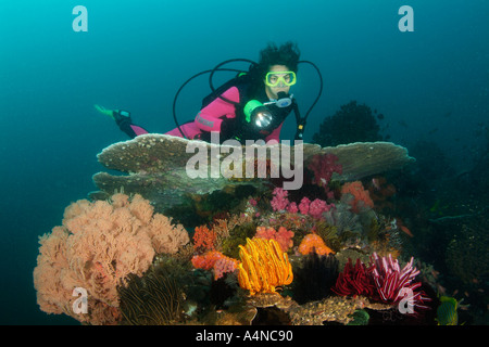 Nm0329 D SCUBA DIVER MELISSA COLE Parution Modèle SUR CORAL REEF Copyright Brandon Cole Banque D'Images