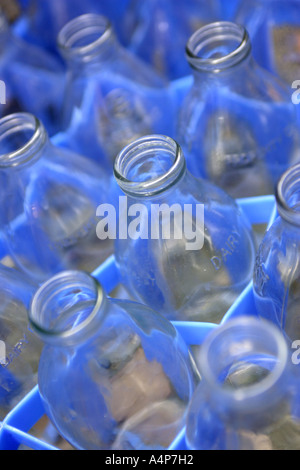 Bouteilles de lait dans une caisse Banque D'Images