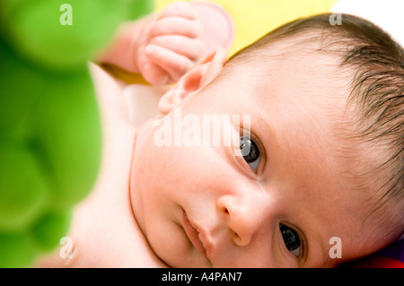 4 Semaine Baby Boy 4 Semaines Bebe Lit Garcon Caucasien Les Soins Aux Enfants Doux Berceau Quatre Semaines A La Maison A L Horizontale Les Droits De L Enfant De La Terre Photo Stock