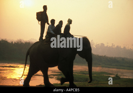 Le lever du soleil, parc de Chitwan, Népal Banque D'Images