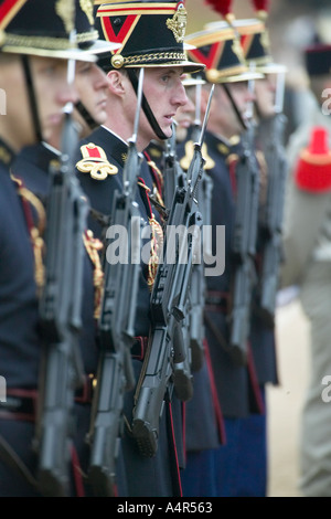 Garde d'honneur au cours de célébration officielle de vétérans français de guerres en Afrique du Nord Paris France Décembre 2003 Banque D'Images