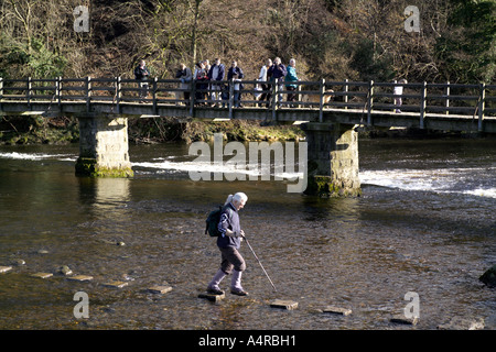 Walker crossing les jalons de l'autre côté de la rivière Wharfe Bolton Abbey, Wharfe Dale North Yorkshire England UK. Banque D'Images