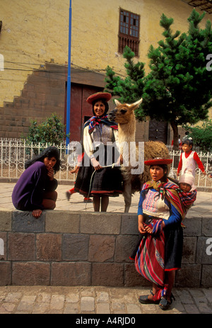 Ethniques Indiens Quechua péruvien péruviens gens personne chez les femmes Les femmes de l'alpaga Cuzco Cuzco Province Pérou Amérique du Sud Banque D'Images