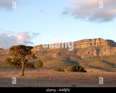 Vue depuis près de Rawnsley Park Station de rawnsley bluff près de Wilpena Pound Flinders Ranges national park Australie du Sud Banque D'Images