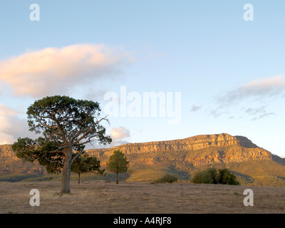 Vue depuis près de Rawnsley Park Station de rawnsley bluff près de Wilpena Pound Flinders Ranges national park Australie du Sud Banque D'Images