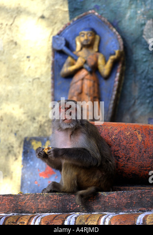 Par une statue de singe macaque à Swayambunath, le Monkey Temple, Katmandou, Népal Banque D'Images