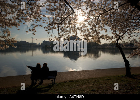 Un couple regarde le lever du soleil sur le Jefferson Memorial sous les cerisiers en fleurs au printemps à Washington DC Banque D'Images