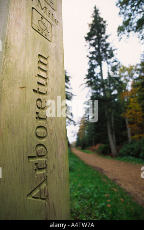 Direction de l'Arboretum au poste Rhinefield Ornamental Drive dans la New Forest Comté de Hampshire England UK Banque D'Images