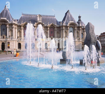 FRANCE NORD/PAS-DE-CALAIS LILLE PALAIS DES BEAUX ARTS Banque D'Images