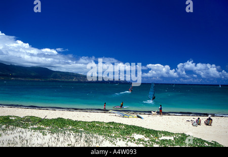 Les véliplanchistes à Kanaha Beach sur la côte Nord de Maui Banque D'Images