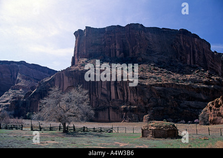 Un hogan Navajo traditionnel bâtiment dans le Canyon de Chelly National Monument sur la réserve Navajo en Arizona Banque D'Images