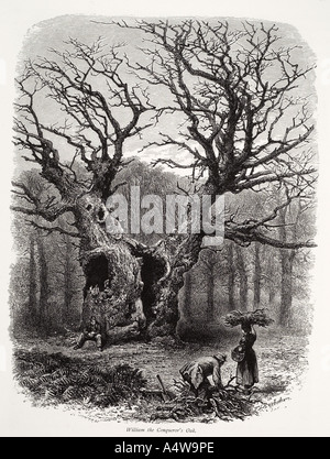 William conquérant's Oak tree forest park forest ancien historique Histoire naturelle Botanique botanique homme femme bois creux firew Banque D'Images