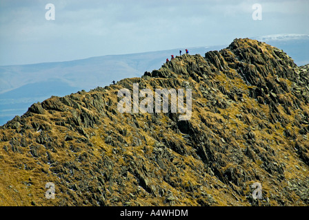 Striding Edge, marchettes à Helvellyn. Parc National de Lake District, Cumbria, Angleterre, Royaume-Uni, Europe. Banque D'Images