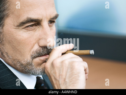 Businessman smoking cigar Banque D'Images