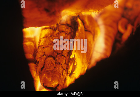 La combustion des braises de bois Banque D'Images