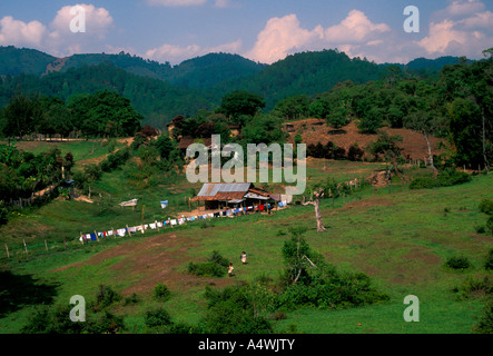 Maison de famille, home, maison, ferme, ferme, terres agricoles, terres cultivées, Salama, Baja Verapaz, Baja Verapaz, Guatemala, Ministère de l'Amérique centrale Banque D'Images