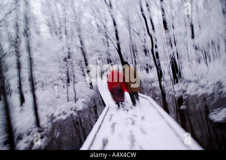 Un couple en train de marcher parmi les arbres couverts de neige dans l'Illinois Busey Woods Banque D'Images