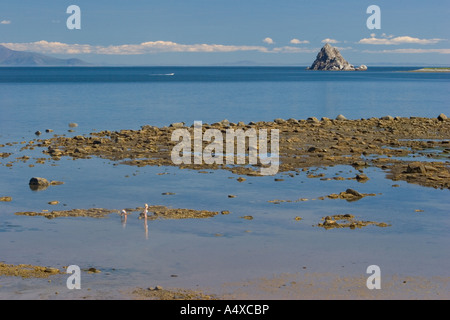 Magadan, mer d'Okhotsk, la Sibérie orientale, Russie Banque D'Images