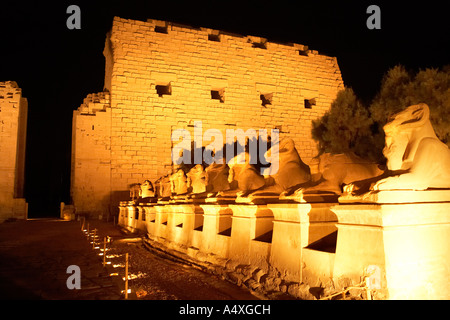 Spectacle son et lumière Temple d'Amon à Karnak Louxor en Égypte Banque D'Images